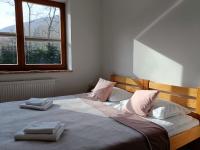Large Double or Twin Room