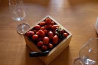 Txakolin - B&B Bilbao