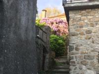 La casa del bosco - B&B Bagnone
