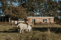 Wild Paradise Farmstay - Bed and Breakfast