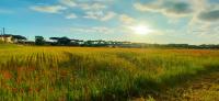 Sea flat 10 min beach front 30 min Pisa Tower and Airport - B&B