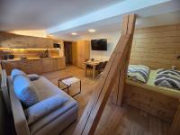 Studio-Apartment mit Zustellbett
