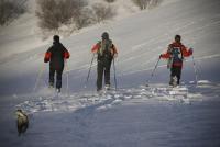 Chalets et gîtes d'Orlu - B&B Orlu