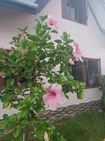 La Banane Rouge Self Catering - Ferienwohnung La Digue