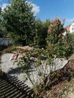 Chambre 2 dans appartement partagé proche de Strasbourg - B&B