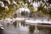 Crystal Cabin on the Betsie - Bed and Breakfast Thompsonville