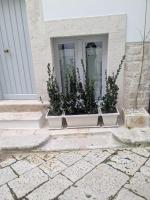 Saliscendi in centro - B&B Putignano