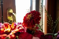 Tenuta Ulivi - Chambres d’hôtes Putignano