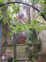La Concha 1 - B&B