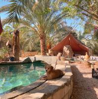 Shamofs art garden - B&B Sīwah