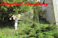 Songbird Sanctuary - B&B