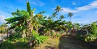 Villa Jardín Tropical - B&B