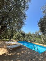 Podere Il Piantoneto - B&B Stiava