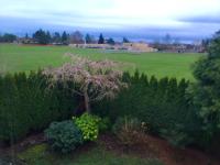 Vancouver Luxury Homestay - B&B