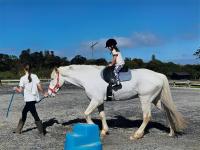 Sunshine Daydream w Edmund Cottage - B&B Auckland
