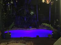 The Blue Lagoon poolside retreat - B&B