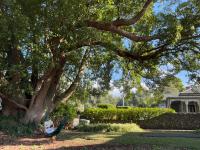 Free Parking,5 minutes to City, bus at the door, 100-year-old building at the foot of Mount Eden Park,unit 1 - B&B Auckland