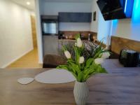 Apartment Marissa - zentral - Parkplatz - Bed and Breakfast Billerbeck