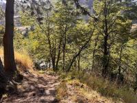 Haus mit 1 Schlafzimmer