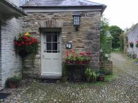The Creamery Cardigan - B&B