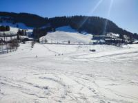 Alp-Juwel - mit Hallenbad und Sauna, 4 Schlafbereiche, Hallenbad, Sauna, inklusive Bettwäsche, Handtücher, tolle Kinderausstattung - Chambres d'hôtes Missen-Wilhams