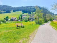 Alp-Juwel - mit Hallenbad und Sauna - direkt an der Skipiste - Ferienwohnung Missen-Wilhams