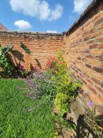 Mountain Scene BnB - B&B Ruhengeri