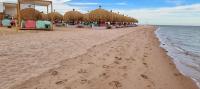 Mangroovy Ritzy, Cerulean appartement by the pool - B&B Hurghada