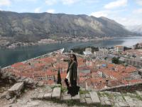 Old Town Boskovic Apartment - Bed and Breakfast Kotor
