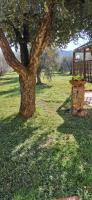 Villetta 3 km dal mare - B&B Castagneto Carducci