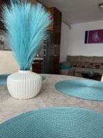 Apartament Sonia - 2 dormitoare - B&B Bistriţa