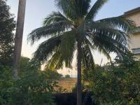 Secret Lanta Guesthouse - B&B Ko Lanta