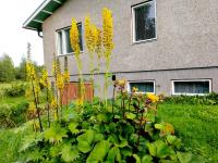 Marjula - B&B Kokkola