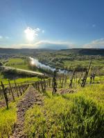 Urlaub-WeinhofHerrenberg 2 - B&B Schoden