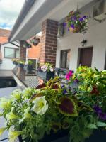 Casa Mignon - B&B