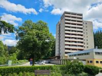 Ferienwohnung "Hirschlein" im Schwarzwald - B&B