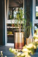 Le Baobab Rouge - Maison d'hôtes réservée aux femmes - B&B