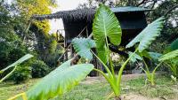 Sigiri Veenus Paradise - B&B