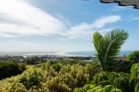 Camera King Standard