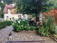 Pokój z łazienką Zwycięstwa - Chambres d'hôtes Międzyzdroje