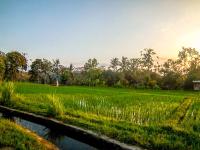 Ubud Paradise Villa - B&B Ubud