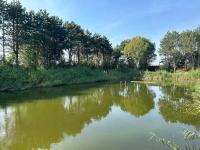 The waterfront & birds nest - B&B Evergem