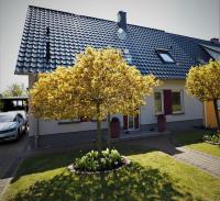 Wiesenstr 4 Haus Blaumöwe - B&B Zingst
