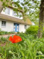 Achtern Diek Haus 13b Wohnung 3 - Ferienwohnung Zingst