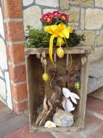 Apartment with Pool View 