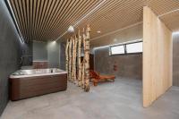 Brezovina Penthouse 404 - B&B Oravské Veselé