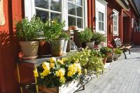 Guesthouse with Patio & BBQ, 10 Min to the Beach - B&B Eftra
