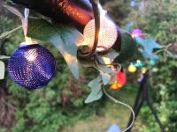 Bell-tent Noord - B&B Lappeenranta