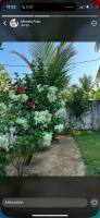 Marilyn guest house - B&B