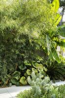 Habitación con cama extragrande y vistas a la piscina